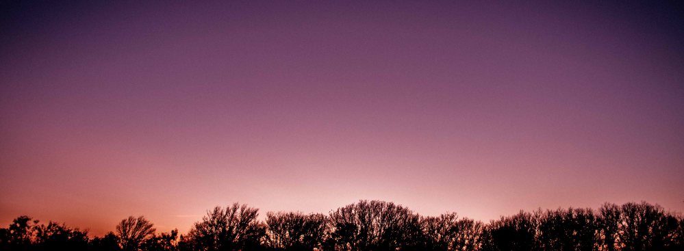 horizontal panorama of trees silhouetted against sky at dusk